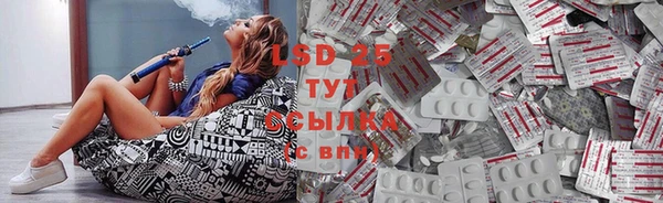 spice Лабытнанги