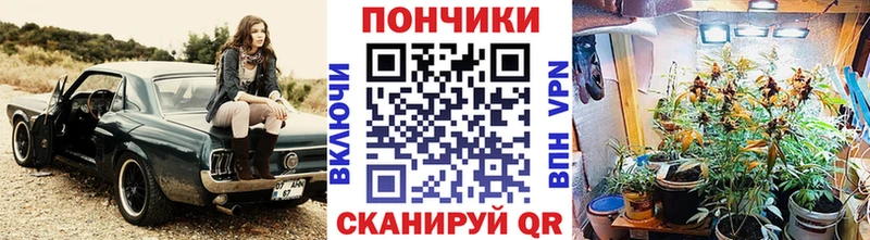 Шишки марихуана White Widow  Купить закладки  Иланский 
